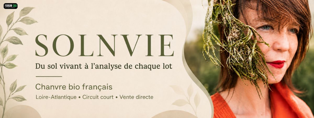 SolnVie, productrice de chanvre bio en Loire-Atlantique, valorisant la culture sur sol vivant, le circuit court et l’analyse de chaque lot.