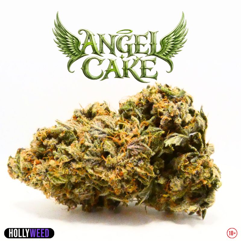 Photo de l’Angel Cake Indoor Hollyweed avec bud résineuse, pistils orangés et logo Angel Cake sur une fleur CBD française