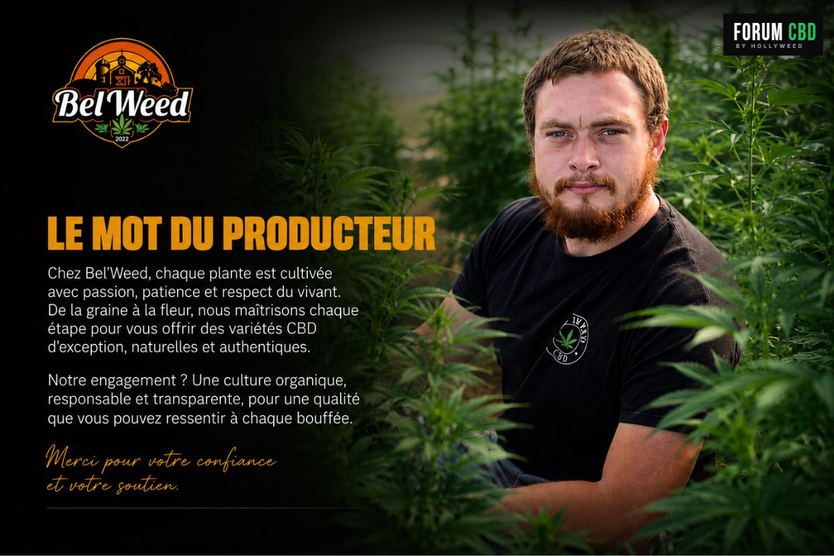 Portrait du producteur de Bel'Weed au cœur de sa culture de chanvre CBD à Domptin dans l'Aisne, illustrant l'engagement de la ferme pour une production française, une culture organique et un travail artisanal respectueux du vivant