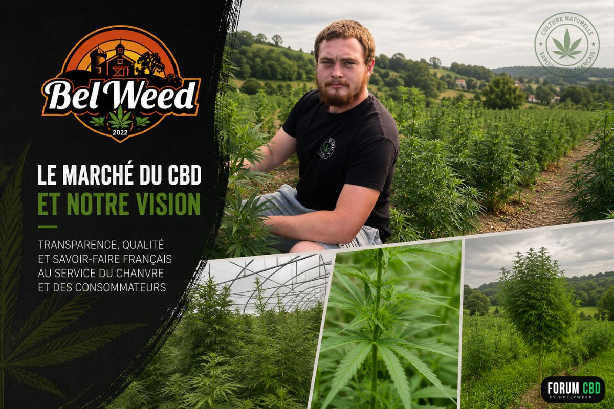 Producteur Bel'Weed au cœur de sa culture de chanvre CBD avec vues des cultures indoor, greenhouse et outdoor illustrant sa vision d'un CBD naturel, transparent et d'un savoir-faire français