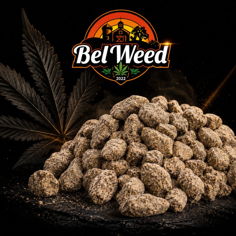 Varine Bubble Hash CBD/CBDV extrait au Bubbleator de Myla par Bel'Weed, concentré artisanal Full Spectrum issu d'une extraction à l'eau, mettant en valeur la richesse naturelle des cannabinoïdes et des terpènes