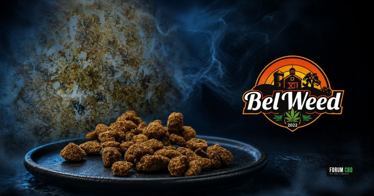 Bubble Hash Elesir CBD-CBDV de Bel’Weed présenté sur un plateau noir dans une ambiance bleue fumée avec des trichomes en arrière-plan