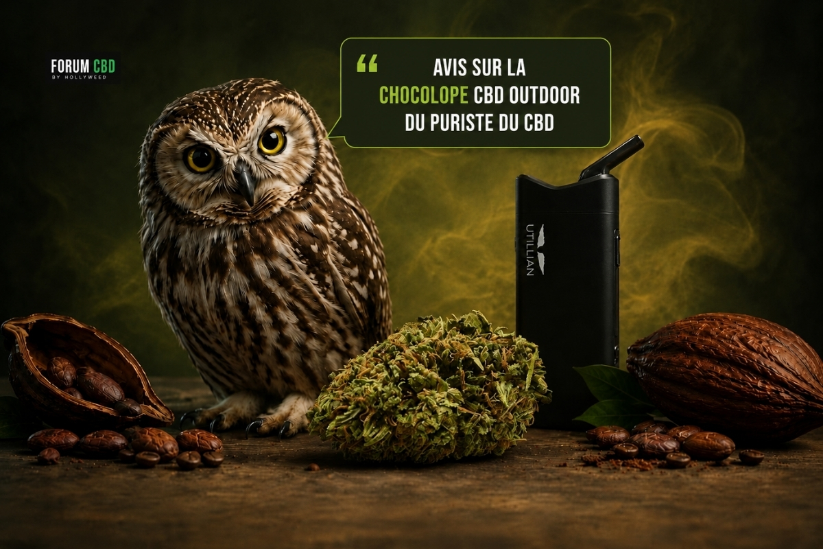 Hibou donnant son avis sur la Chocolope CBD outdoor du Puriste du CBD, présentée avec une fleur et un vaporisateur Utillian 850.