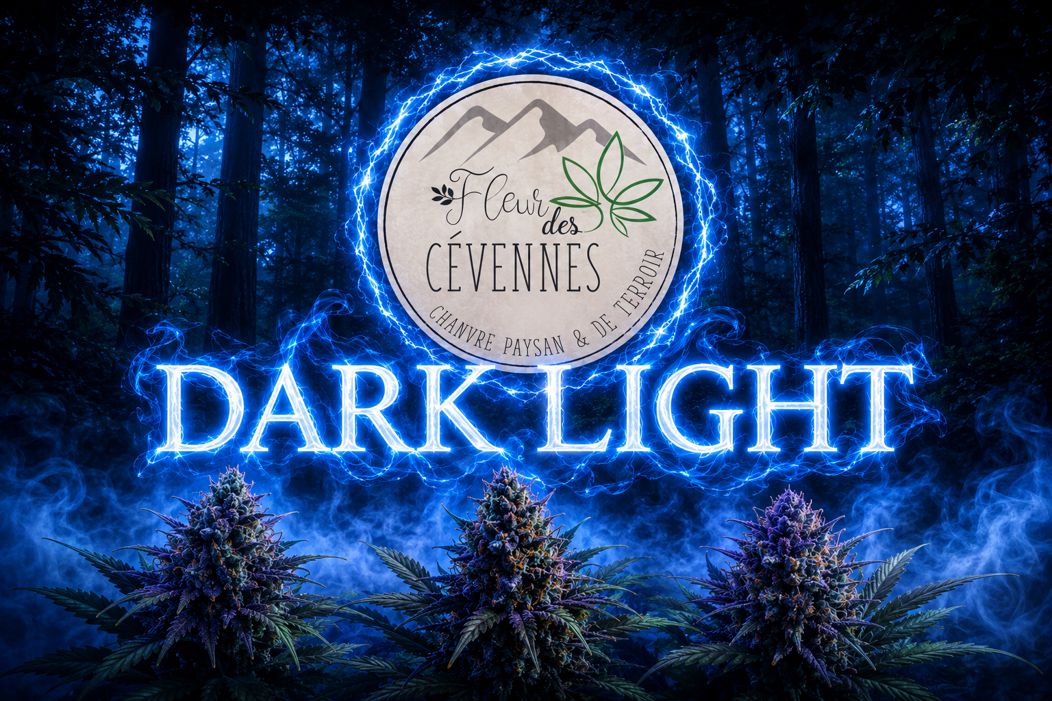 Visuel d'ambiance de la Dark Light CBG de Fleur des Cévennes représentant une forêt nocturne baignée d'une lumière bleu électrique. Le nom « Dark Light » apparaît au centre dans une fumée lumineuse, devant le logo de Fleur des Cévennes entouré d'un halo électrique, tandis qu'une légère brume bleutée enveloppe le premier plan où se dressent des fleurs de chanvre aux nuances violettes
