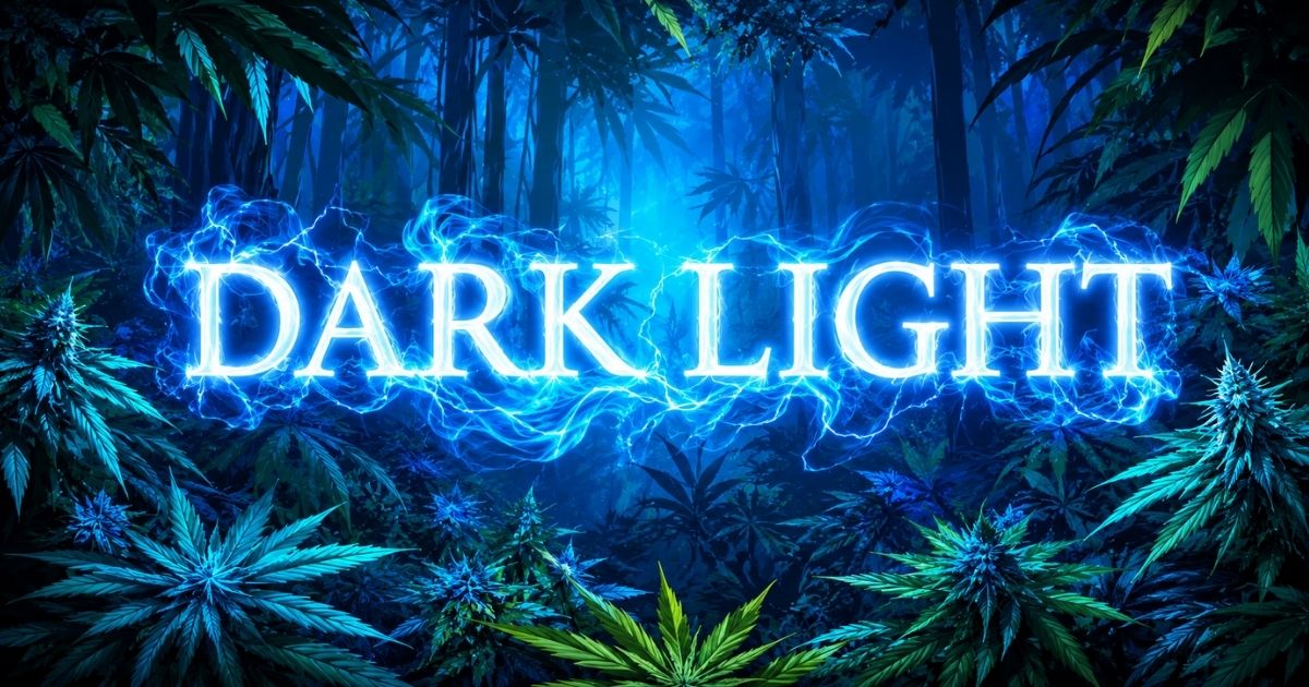 Visuel de couverture de la Dark Light CBG de Fleur des Cévennes représentant une forêt nocturne aux teintes bleu électrique. Le nom « Dark Light » apparaît au centre dans une fumée lumineuse entourée