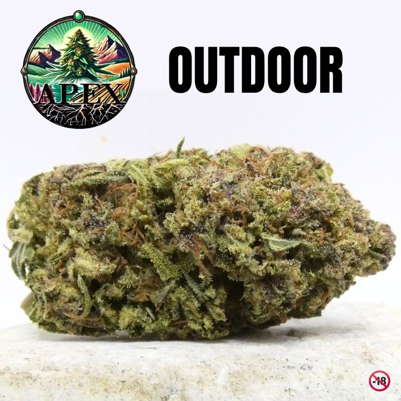 demi glaze cbd outdoor apex cbd fleur résineuse sur pierre pistils orange trichomes