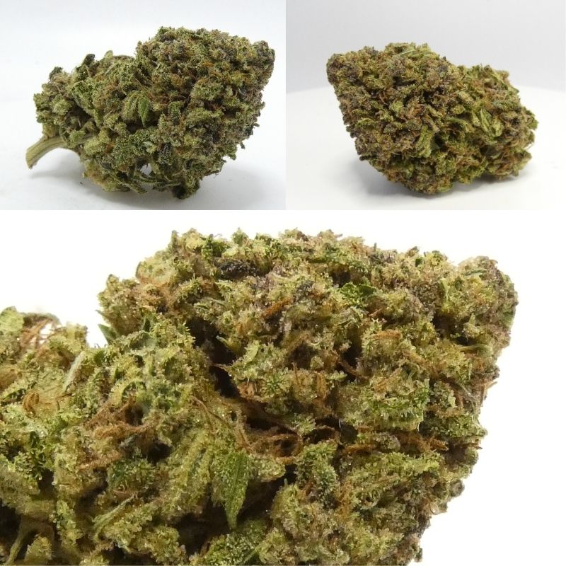 demi glaze cbd outdoor apex cbd fleur buds résineuses pistils orange trichomes