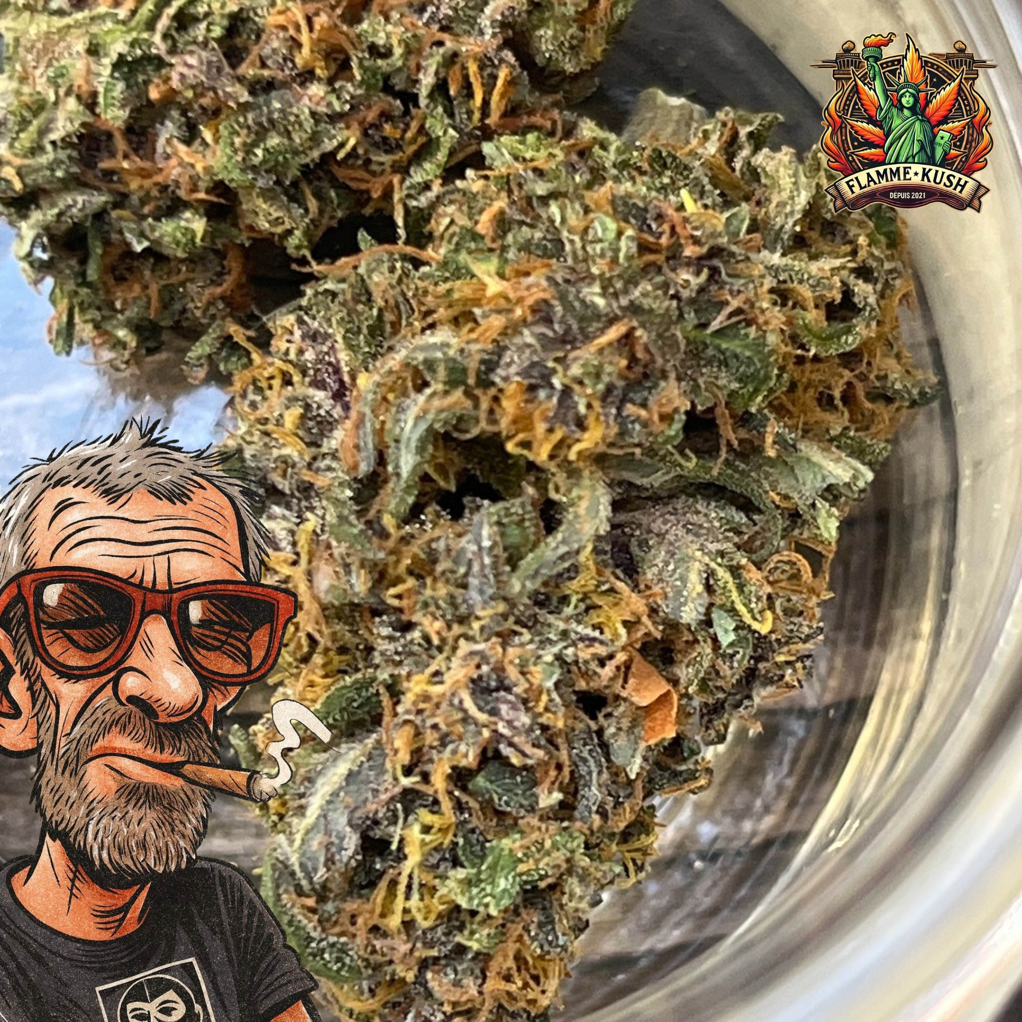 fleurs de cbd dans un bocal