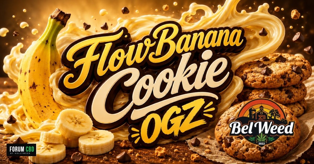 Banane en lunettes vertes assise à une table dans un champ fleuri, en train de manger un cookie, dans un style bande dessinée pour illustrer la revue de dégustation de la FlowBananaCookie OGZ de Bel’w