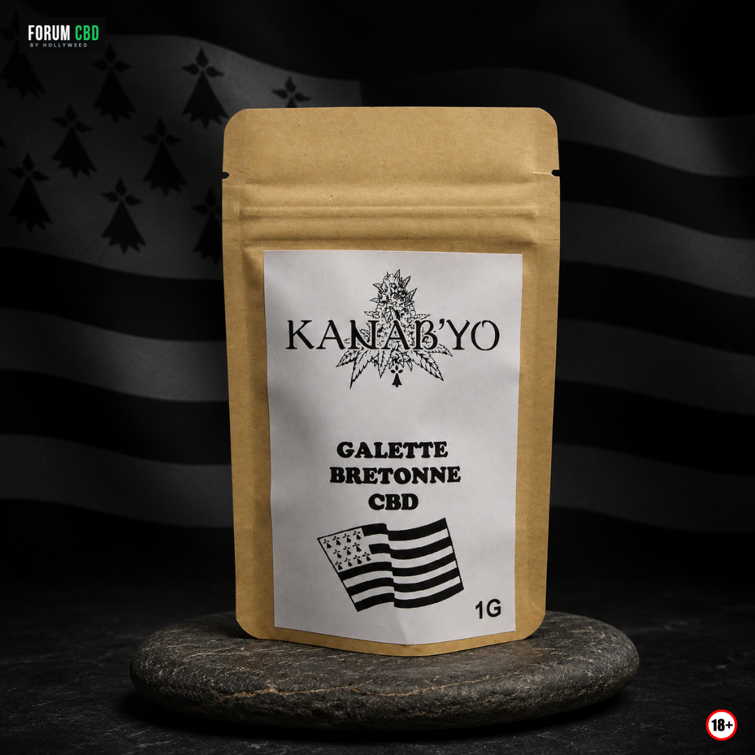 Galette Bretonne CBD Kanab’Yo, pochon d’une fleur CBD bretonne posé sur un galet avec drapeau breton en arrière-plan