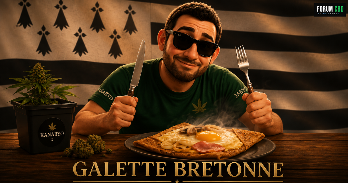 Galette Bretonne Kanab’Yo, visuel style Pixar avec personnage breton, galette fumante, plante de chanvre et drapeau breton en arrière-plan