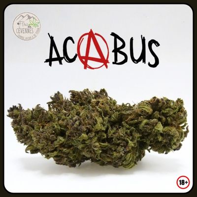ACABUS Outdoor – une demoiselle des Cévennes qui laisse déjà parler le visuel