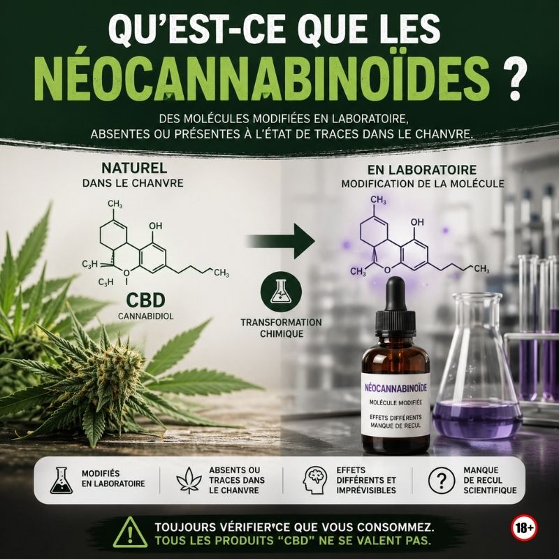 Infographie sur les néocannabinoïdes montrant la différence entre CBD naturel et molécules modifiées en laboratoire