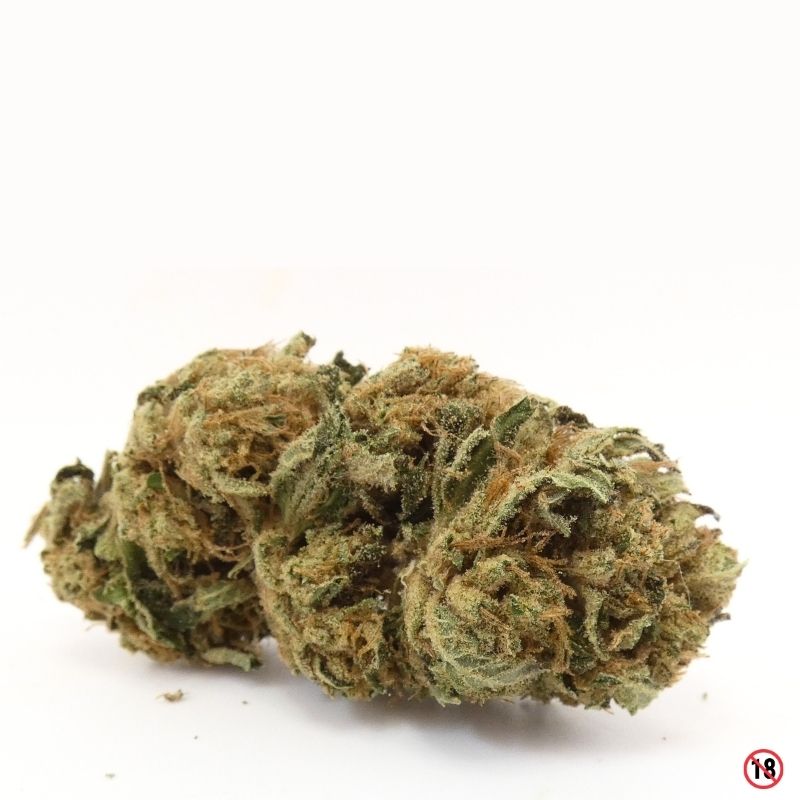 Fleur Dark Saphir CBD greenhouse en gros plan avec trichomes résineux et texture compacte