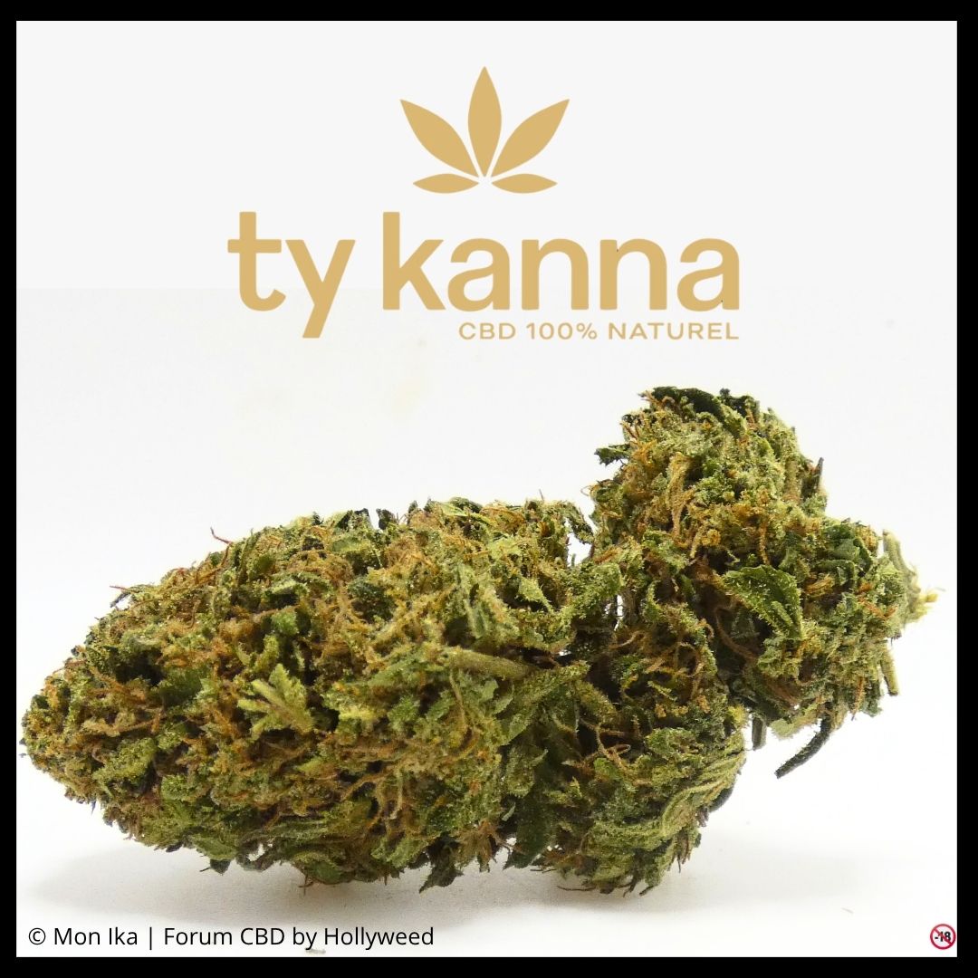 Visuel de la Sour Space Candy Outdoor de Ty Kanna avec bud CBD sur fond blanc et identité du producteur