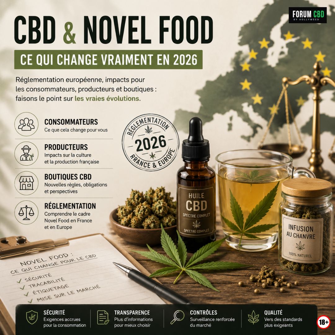 Visuel explicatif sur le Novel Food 2026 dans le secteur du CBD avec huiles, infusions, fleurs de chanvre et impacts pour les consommateurs, producteurs et boutiques en France.