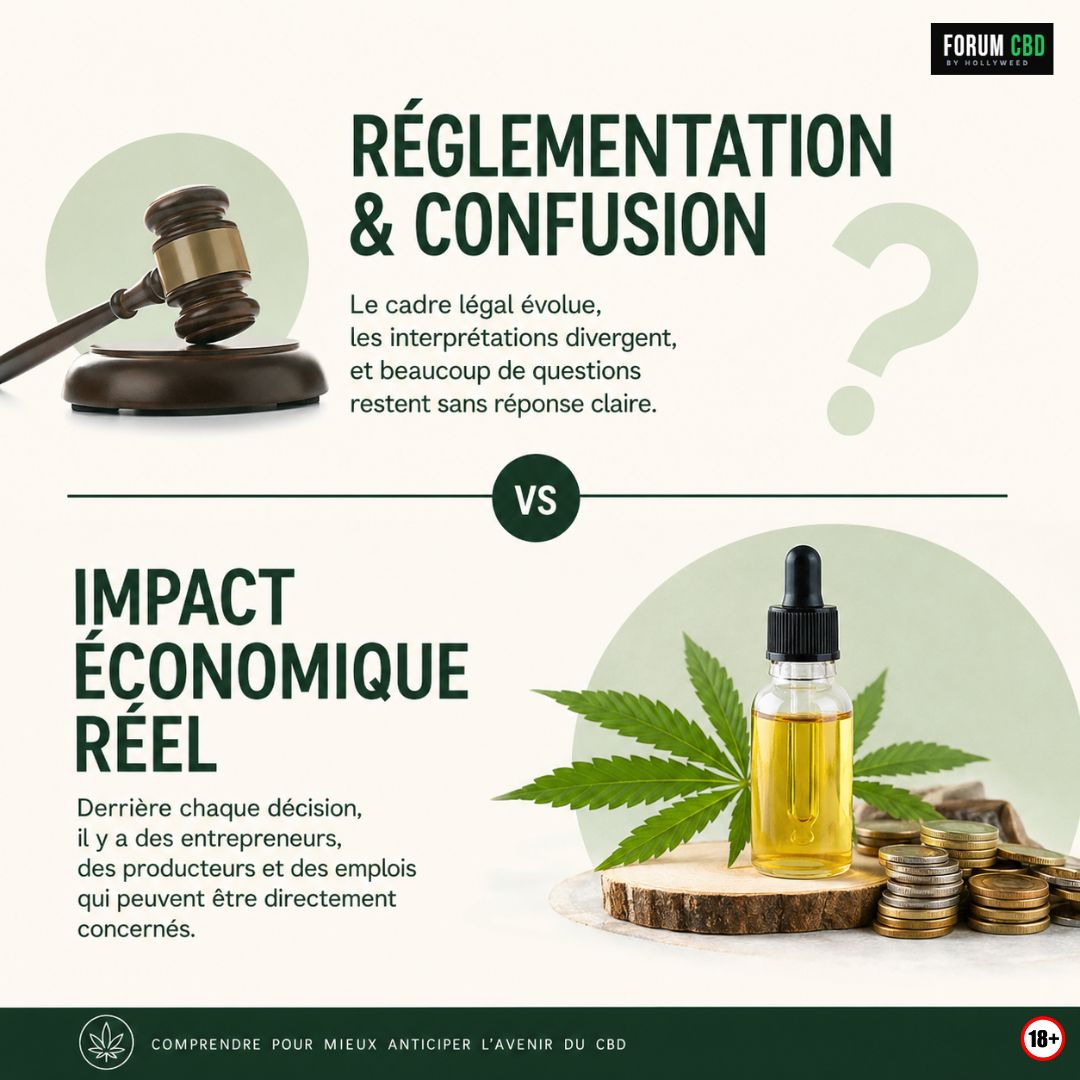 Illustration du dossier Novel Food 2026 montrant les enjeux réglementaires du CBD, les interrogations autour du CBD alimentaire et les conséquences économiques pour les producteurs et boutiques spécialisées.