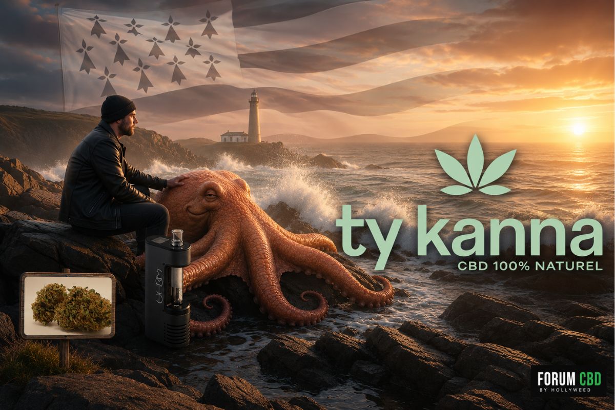 Visuel immersif de la Lifter Outdoor de Ty Kanna en Bretagne, représentant un homme assis sur des rochers face à l’océan au coucher du soleil, accompagné d’une pieuvre au léger sourire. Entre le personnage et la pieuvre se trouve un vaporisateur portable noir, tandis qu’un panneau en bois affiche une photo réelle de la fleur Lifter Outdoor sans retouche visuelle. En arrière-plan, un phare breton, des vagues et un grand drapeau breton Gwenn-ha-du semi-transparent dans le ciel renforcent l’ambiance marine. Le logo Ty Kanna CBD 100% Naturel apparaît sur la droite dans une atmosphère naturelle et bretonne.