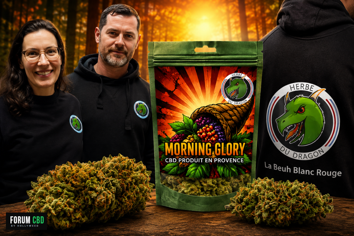 Visuel promotionnel de la Morning Glory de L’Herbe du Dragon avec Christelle et Mathieu, pochon produit et fleurs CBD dans une ambiance forestière chaleureuse inspirée de la Provence.