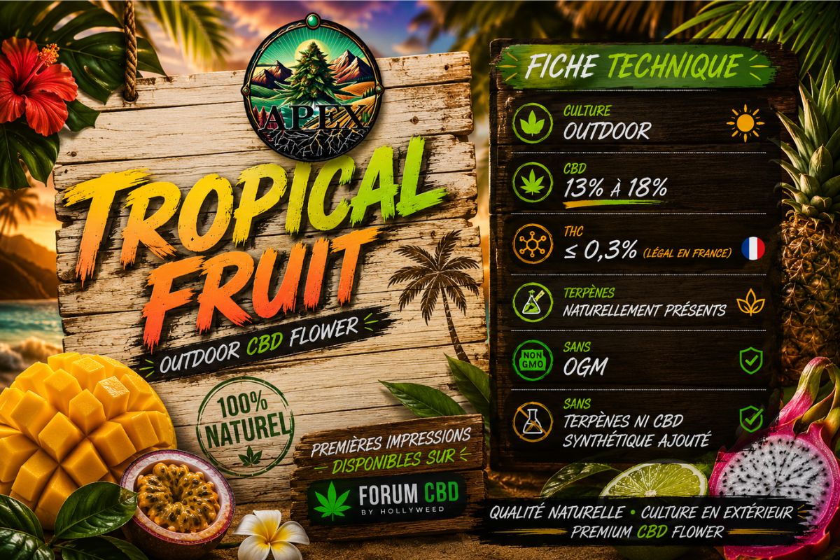 Présentation de la Tropical Fruit Outdoor de APEX CBD avec fiche technique, ambiance plage tropicale et univers fruits exotiques