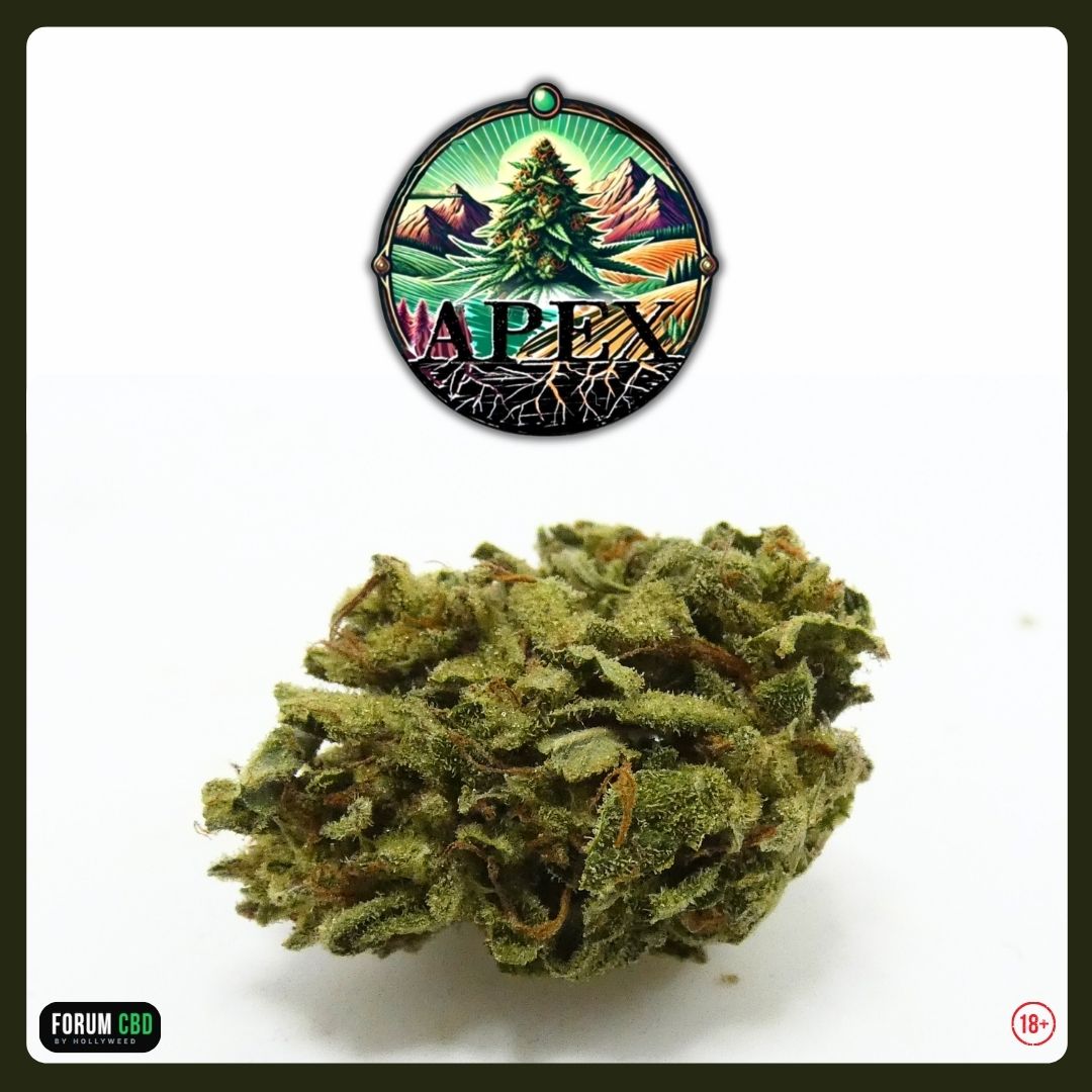 Macro de la Tropical Fruit Outdoor de APEX CBD dévoilant ses trichomes visibles, pistils orangés et structure small bud sur cette fleur CBD cultivée en extérieur