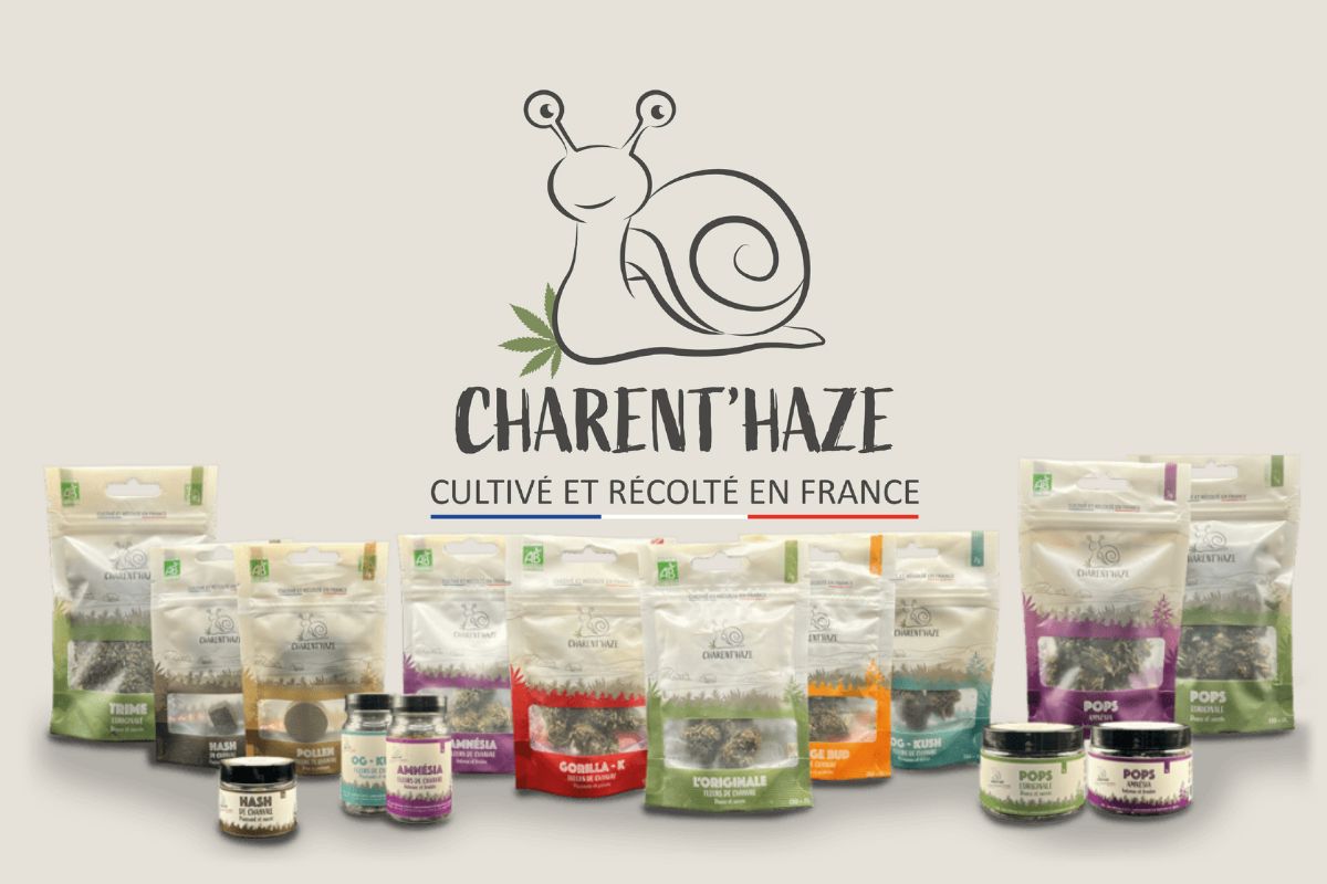 Visuel de la gamme Charent’Haze avec le logo de la marque et ses packagings de fleurs CBD françaises, producteur engagé dans une culture locale et artisanale en Charente.
