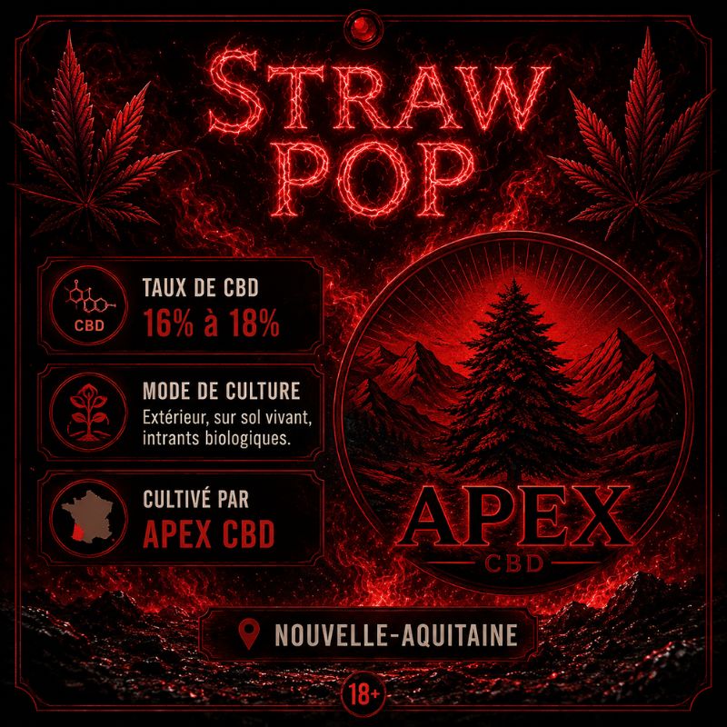 Fiche technique de la Straw Pop d'Apex CBD, fleur CBD Outdoor cultivée sur sol vivant en Nouvelle-Aquitaine avec un taux de CBD compris entre 16 % et 18 %.