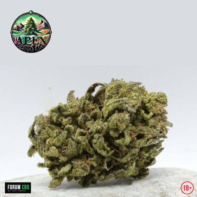 Small bud de Straw Pop d'Apex CBD, fleur CBD Outdoor française présentant une structure naturelle, des trichomes abondants et des pistils brun orangé.