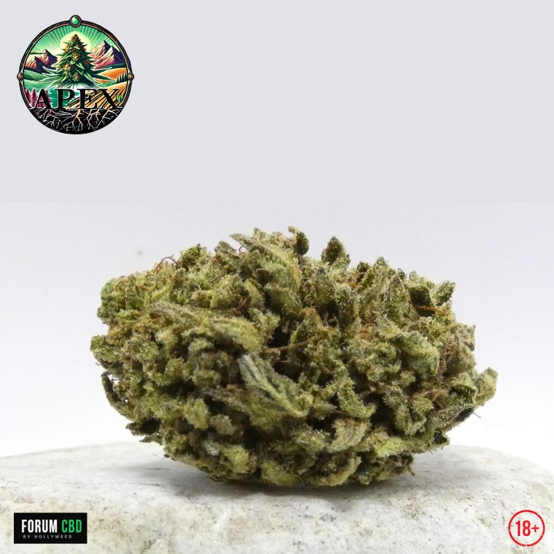 Bud de Straw Pop d'Apex CBD, fleur CBD Outdoor française aux trichomes abondants, pistils brun orangé et profil résineux.