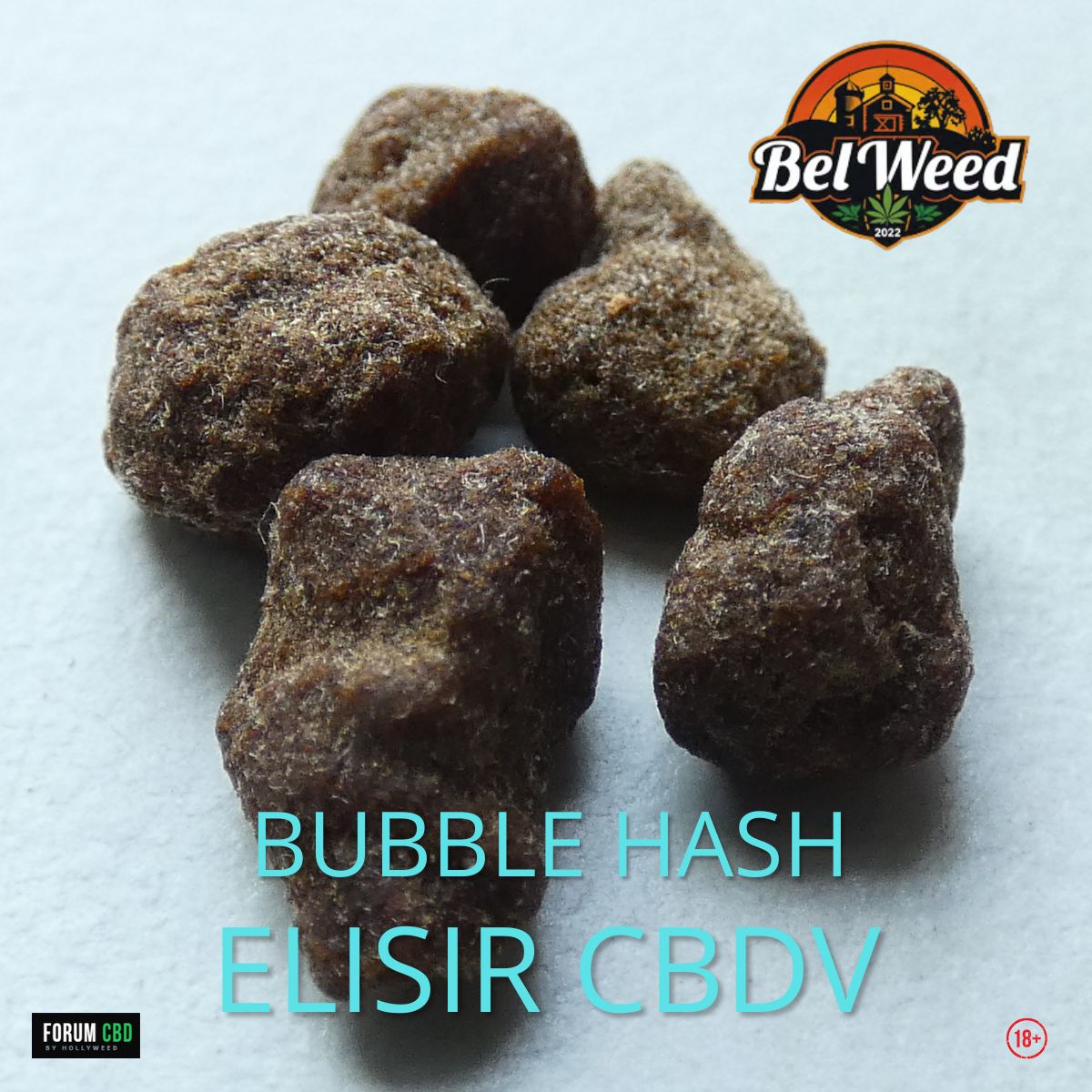 Bubble Hash Elisir CBDV de Bel’Weed en gros plan, morceaux de hash brun avec logo du producteur