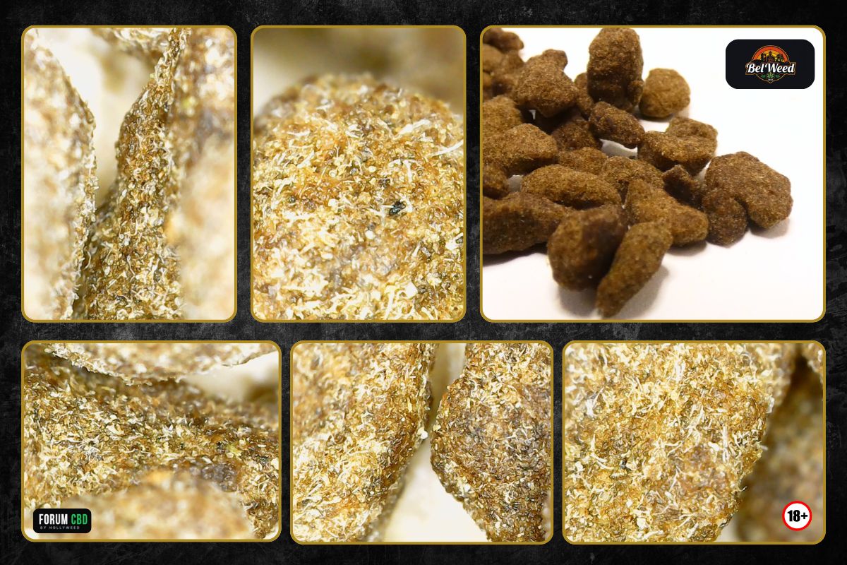 Montage macro du Bubble Hash Elisir CBDV de Bel’Weed montrant ses morceaux bruns et sa surface riche en trichomes dorés