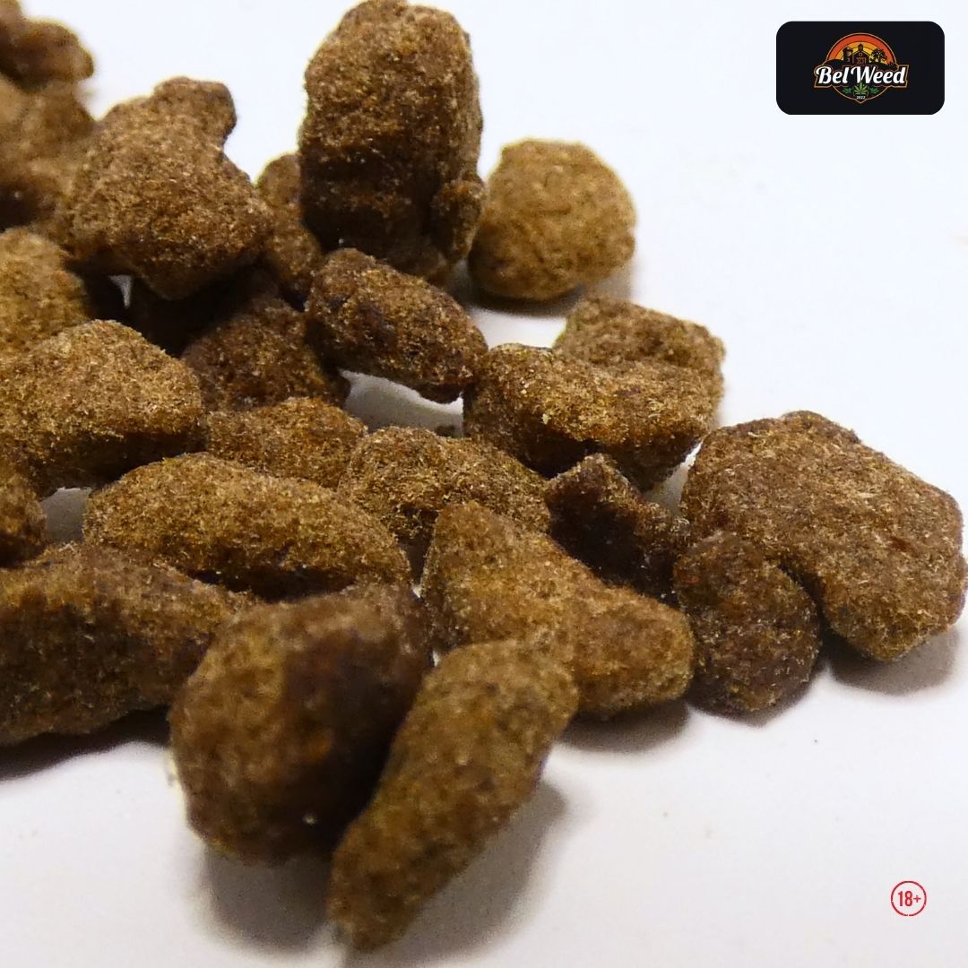 Morceaux bruns de Bubble Hash Elisir CBDV de Bel’Weed photographiés en gros plan sur fond blanc