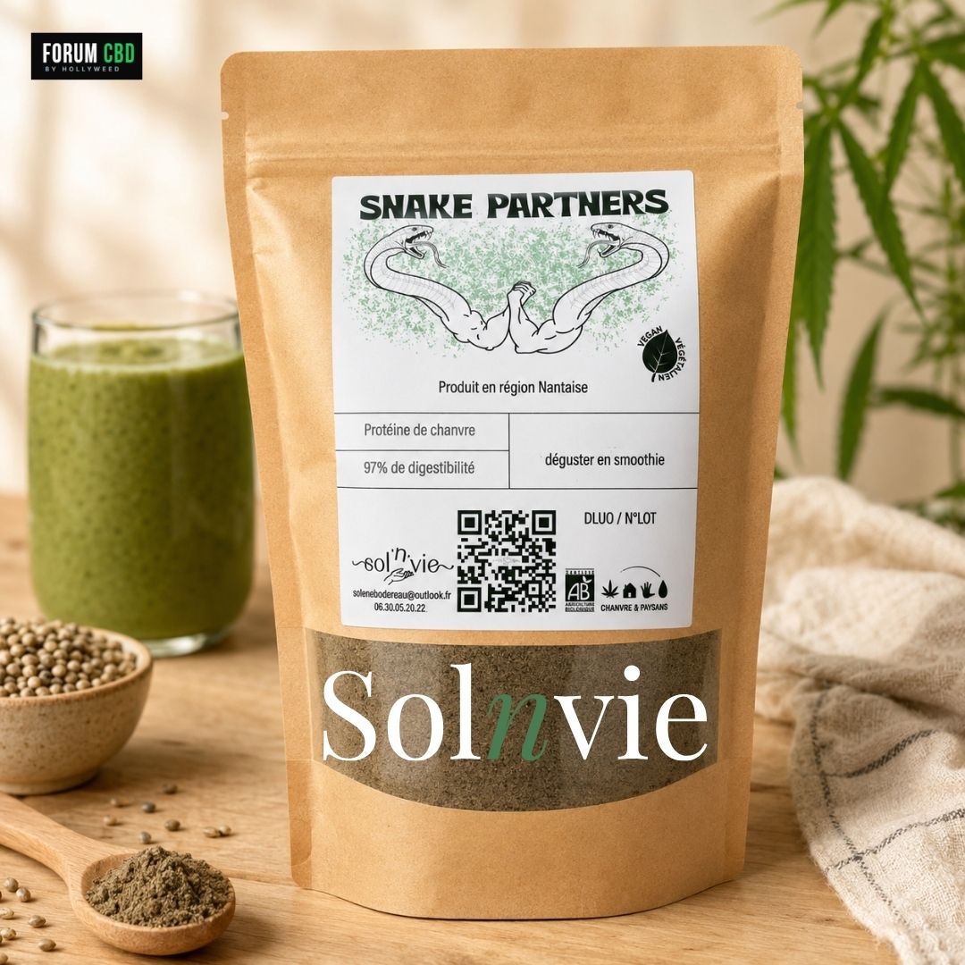 Sachet de protéine de chanvre bio SolnVie présenté avec un smoothie vert, des graines de chanvre et une cuillère de poudre végétale.
