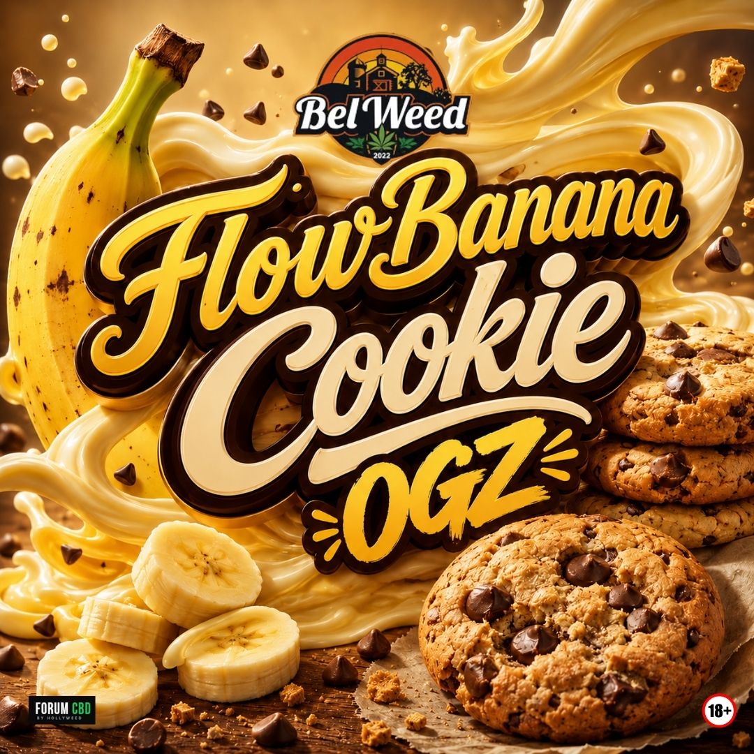 Visuel gourmand FlowBananaCookie OGZ avec une banane, des cookies aux pépites de chocolat et des éclaboussures crémeuses aux tons dorés.