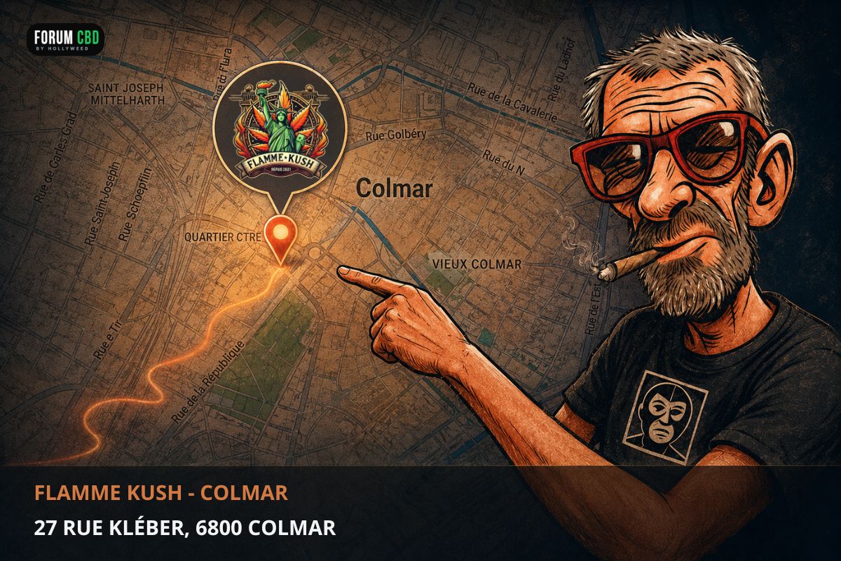 Illustration de Flamme Kush, shop CBD à Colmar, avec son logo localisé au 27 rue Kléber sur une carte de la ville