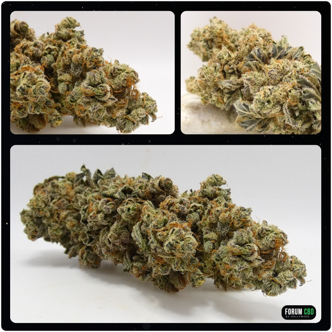 Montage de trois gros plans sur la fleur Banana Capione CBD Indoor d’Oncle Ben, compacte et riche en trichomes
