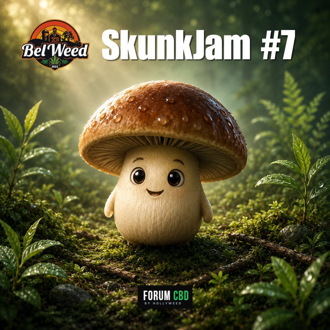 Skunk Jam #7 de Bel’Weed – illustration de la revue de dégustation avec champignon en forêt au petit matin