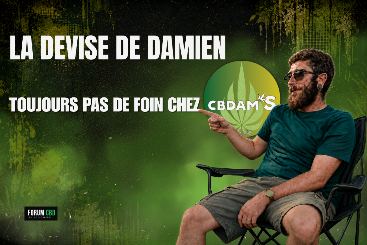 interview-cbdams-damien-torrell-shop-cbd-independant