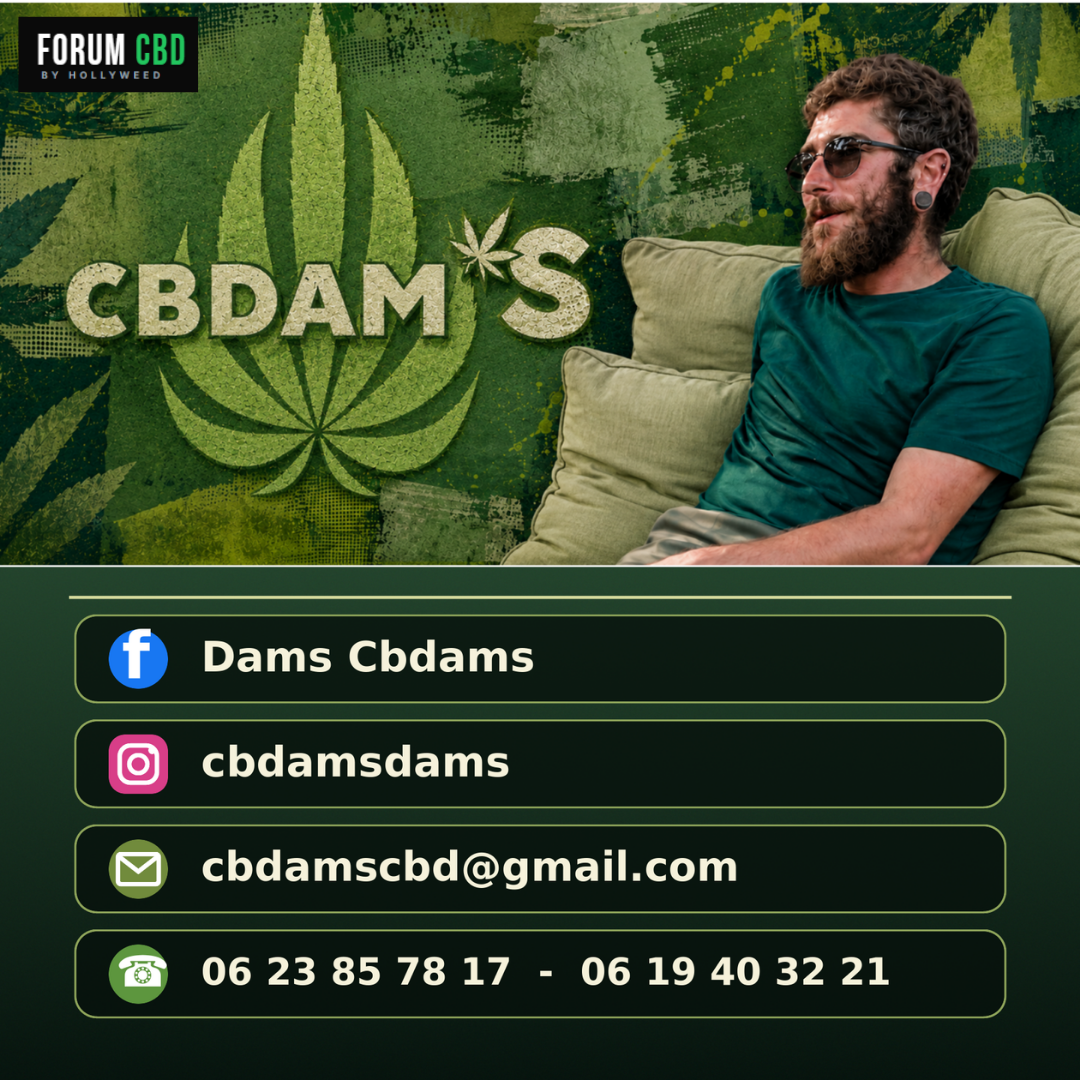 Visuel de contact de CBDAM’S avec Damien Torrell, ses réseaux sociaux, son adresse e-mail et ses numéros de téléphone.