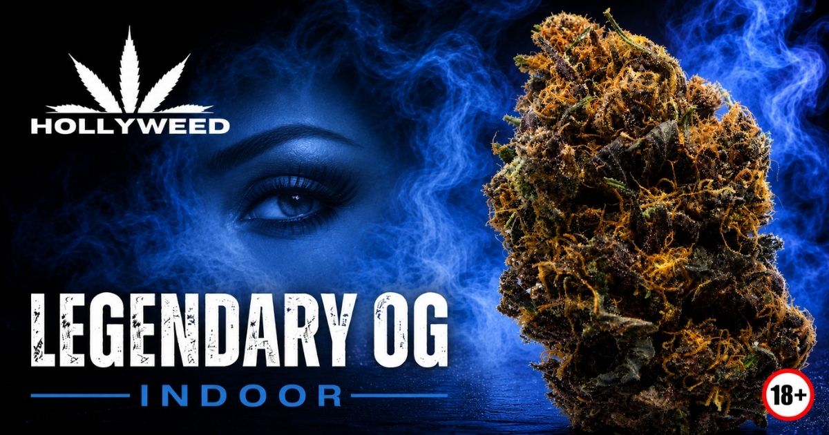 Cover de la Legendary OG Indoor de Hollyweed avec fleur sombre en gros plan, regard féminin et fumée bleue.