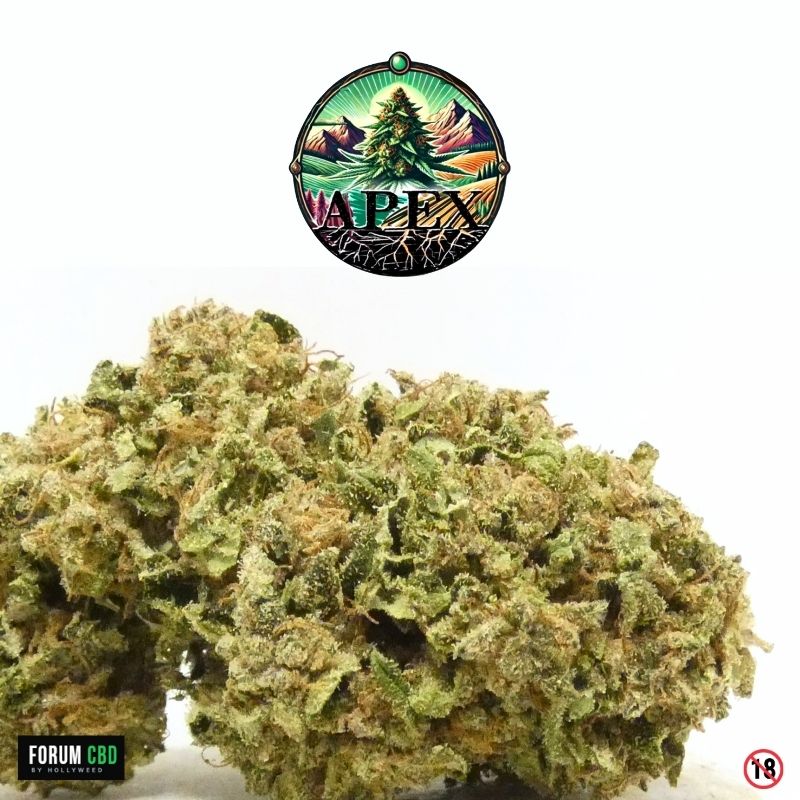 Macro de la Legendary Skunk Outdoor Apex CBD montrant une fleur CBD résineuse aux nuances vert olive et pistils orangés.