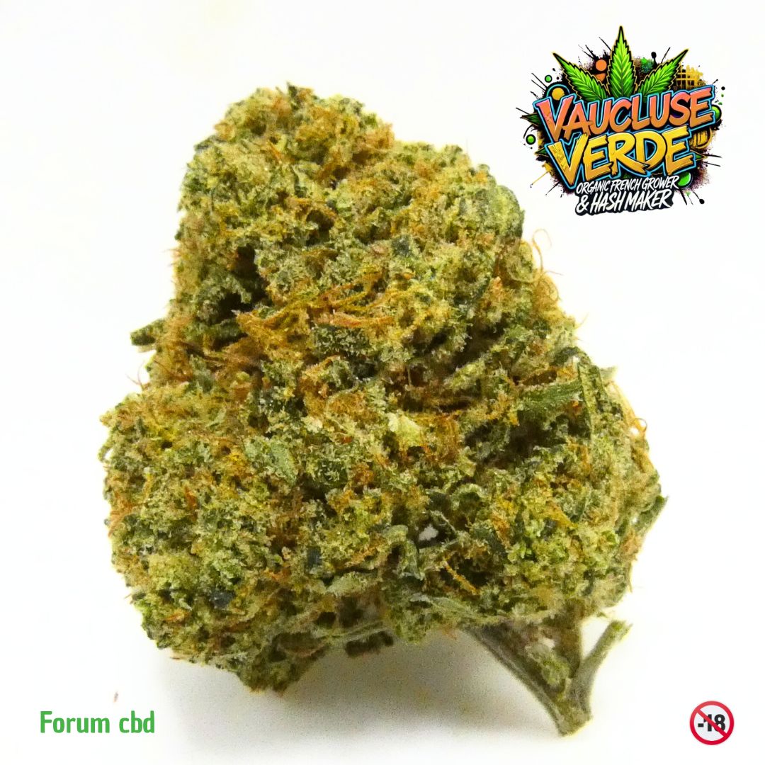 fleur cbd mango juice glasshouse vaucluse verde
