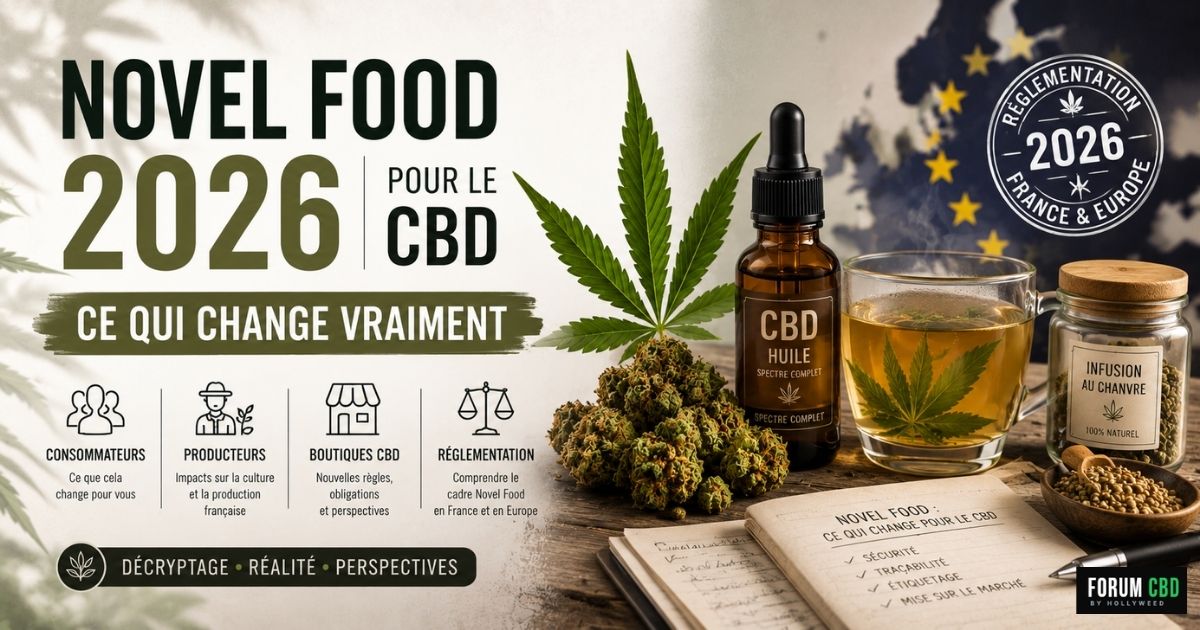 Illustration du Novel Food 2026 dans le secteur du CBD montrant les changements de réglementation en France pour les consommateurs, producteurs, huiles, infusions et boutiques CBD.