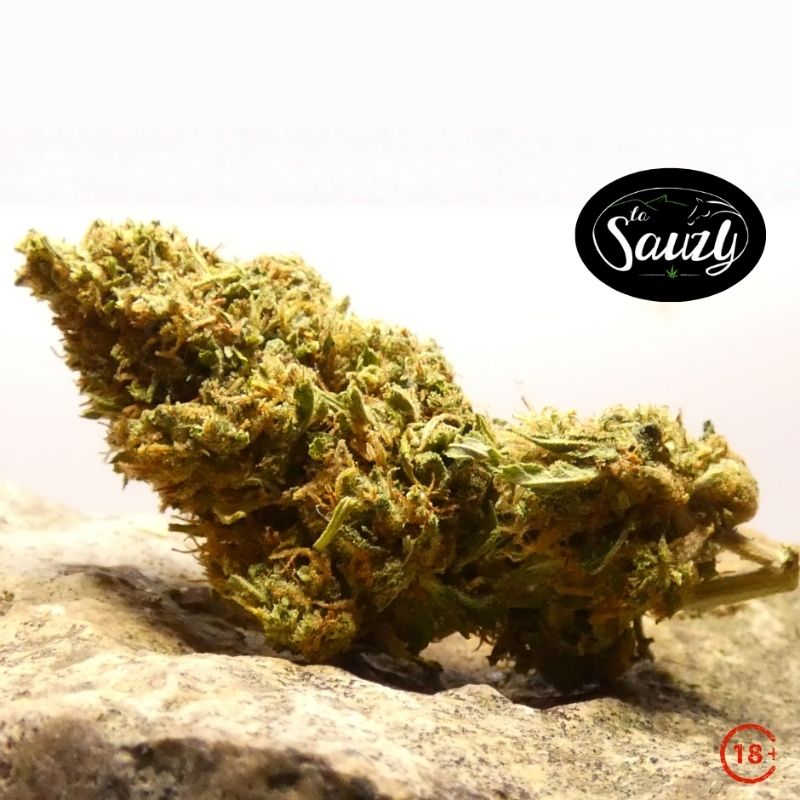 Fleur Space Candy CBD outdoor Sauzy CBD Vercors profil allongé pistils orangés et structure aérée naturelle