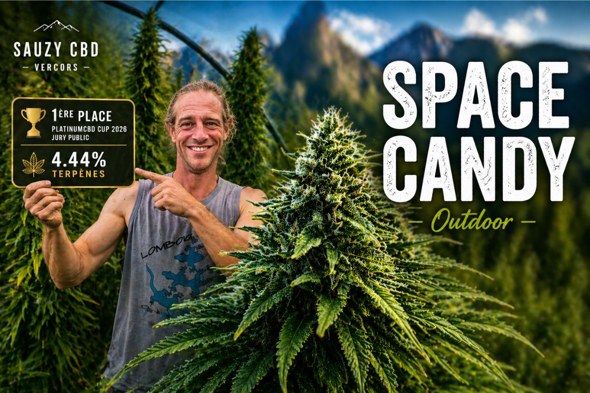 Space Candy CBD outdoor Sauzy CBD Vercors avec producteur et fleur récompensée PlatinumCBD Cup 2026 4.44% terpènes
