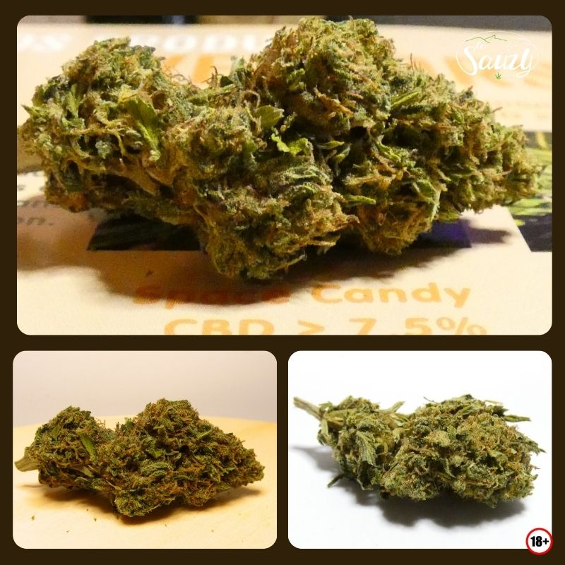 Fleurs Space Candy CBD outdoor Sauzy CBD Vercors ensemble de têtes naturelles pistils orangés et résine visible