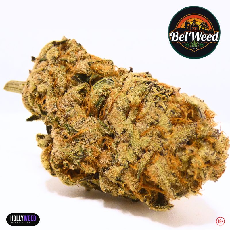 Gros plan de la ChromèneLines de Bel’Weed, fleur CBD/CBC cultivée en indoor LED organique, avec trichomes visibles, pistils orangés et structure compacte
