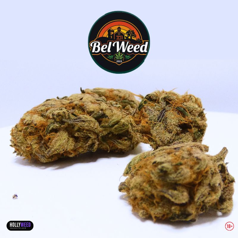 Photo de plusieurs fleurs ChromèneLines de Bel’Weed, une variété CBD/CBC cultivée en indoor LED organique, avec têtes résineuses, pistils orangés et logo Bel’Weed
