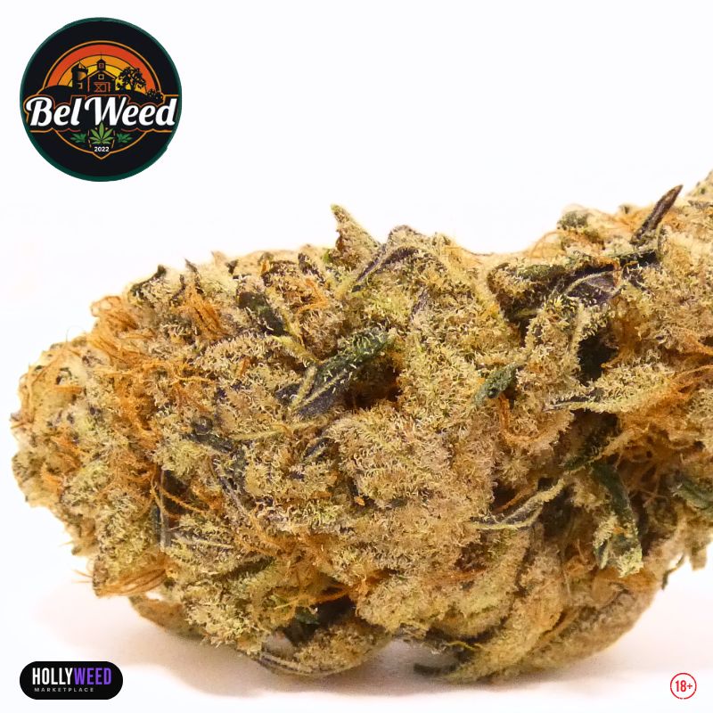 Gros plan de la ChromèneLines de Bel’Weed, fleur CBD/CBC indoor organique, avec trichomes visibles, pistils orangés et nuances vertes