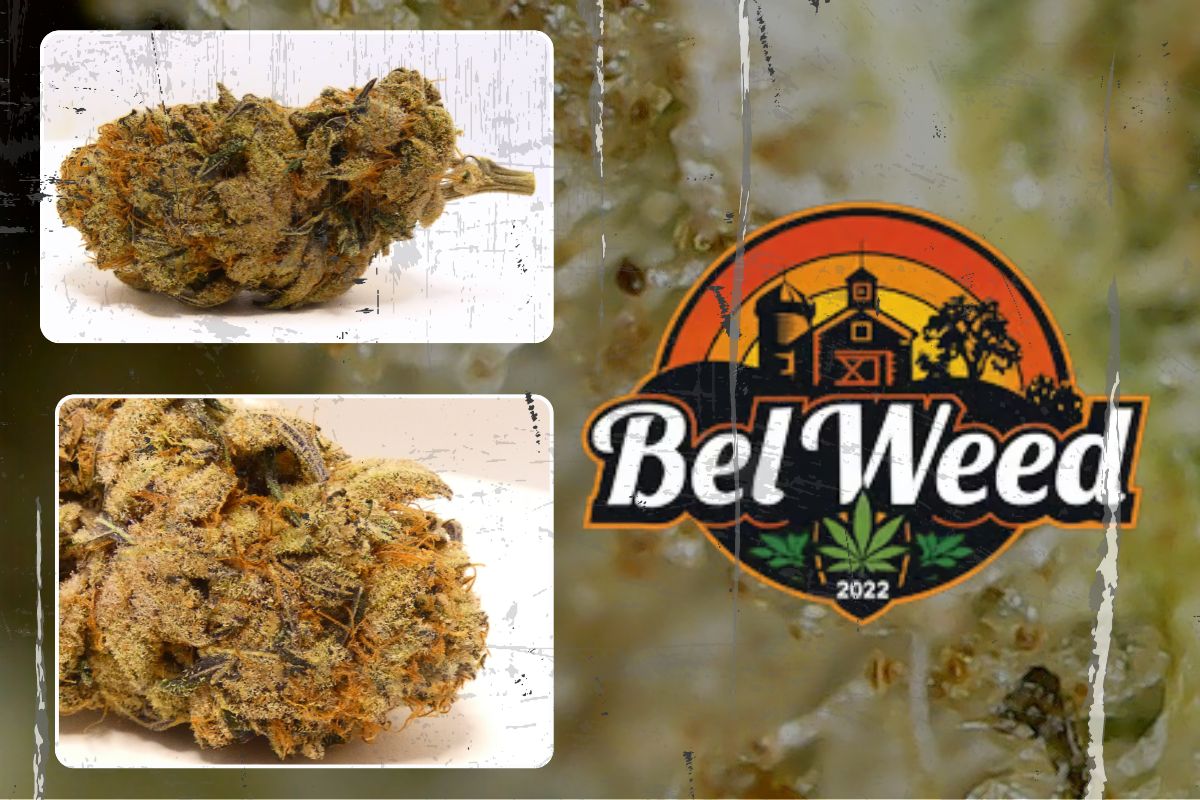 Montage visuel de la ChromèneLines de Bel’Weed, fleur CBD/CBC cultivée en indoor LED organique, avec photos de buds, fond macro trichomes, logo Bel’Weed